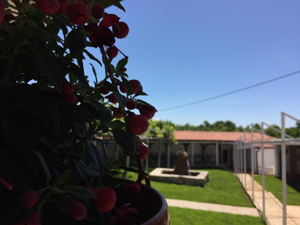 Motel Kiwi Grude Екстер'єр фото